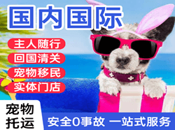 澜沧景迈机场物流国际宠物托运 【国